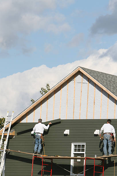 Best Stone Veneer Siding  in Folly Beach, SC