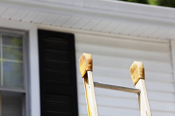 Best Stucco Siding  in Folly Beach, SC